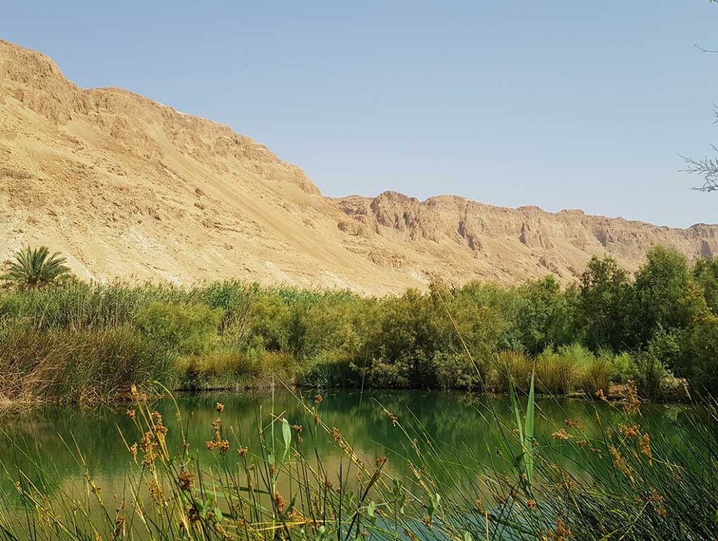 עינות-צוקים