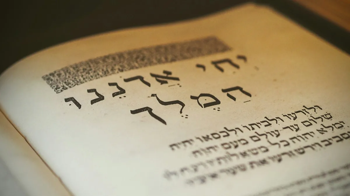 סצנה המציגה מדריך מקיף: הגלריה הנמוכה בעולם