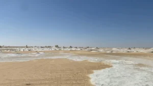 אדם צף בשלווה במי ים המלח המינרליים, מוקף בנוף מדברי יפהפה ושמיים בהירים.