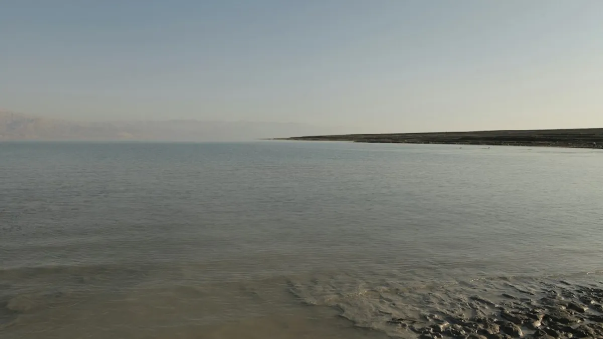 אנשים נהנים משחייה בים המלח ומריחת בוץ מינרלי בחוף פרטי, קרוב למתחם גלמפינג.